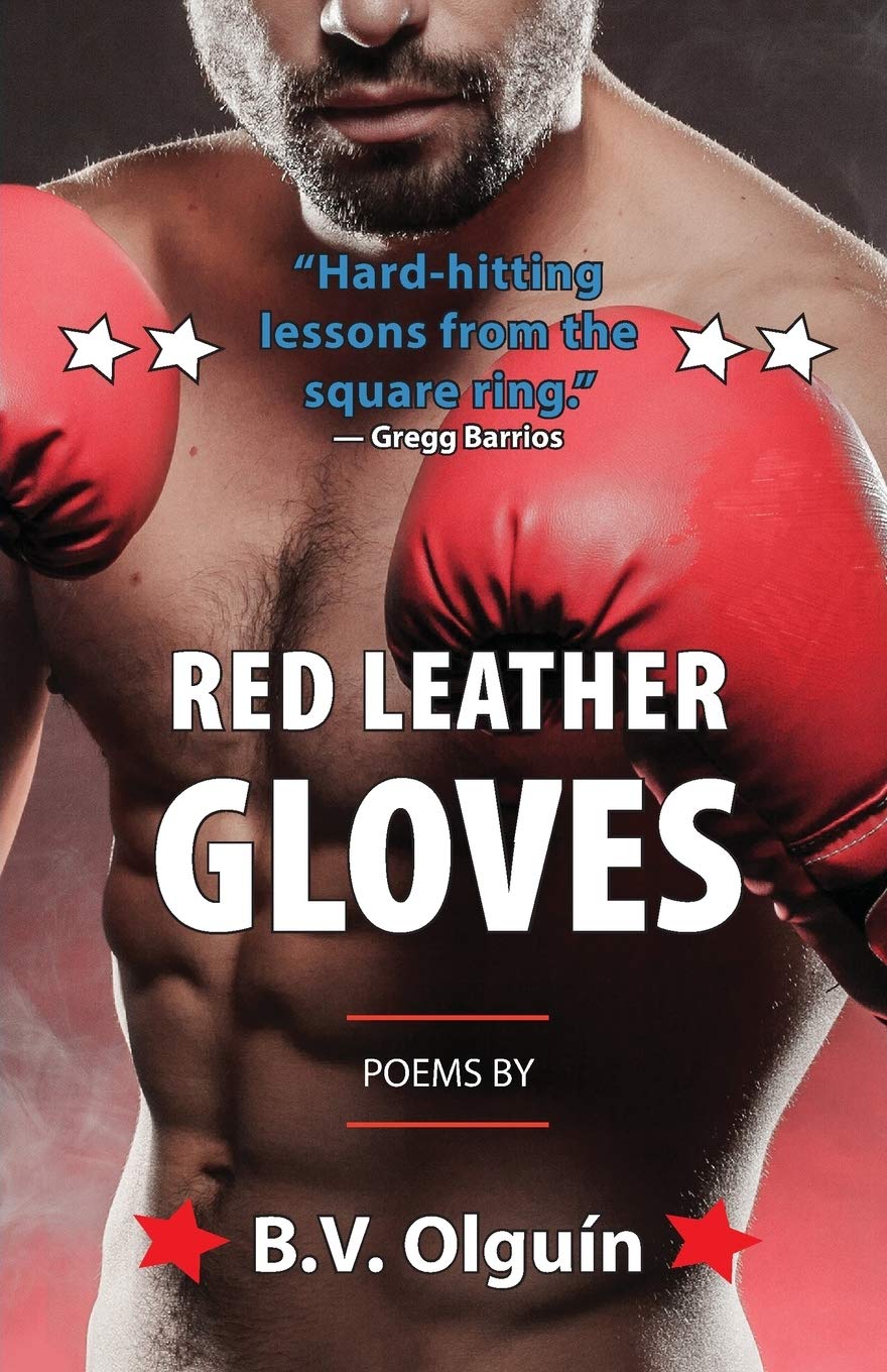 Red Leather Gloves Cover
