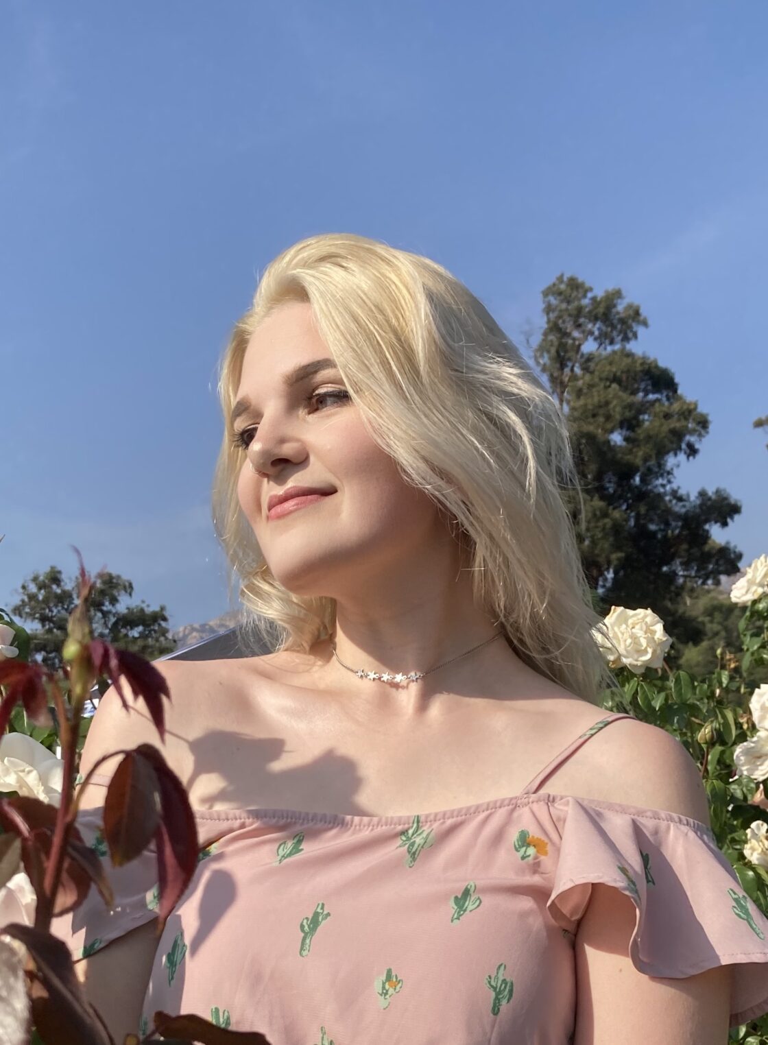 2020-pink-roses5.jpeg